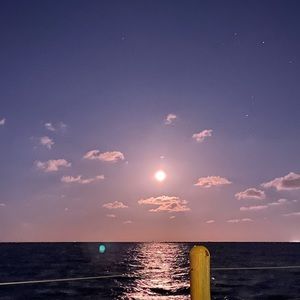 Meet your Posher, Isalia